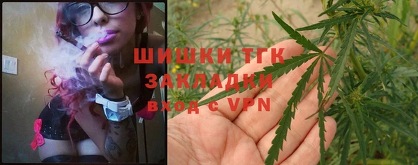 меф Арсеньев